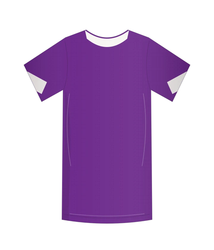 Fiorentina 1980/81 · Domowa — autorska rekonstrukcja