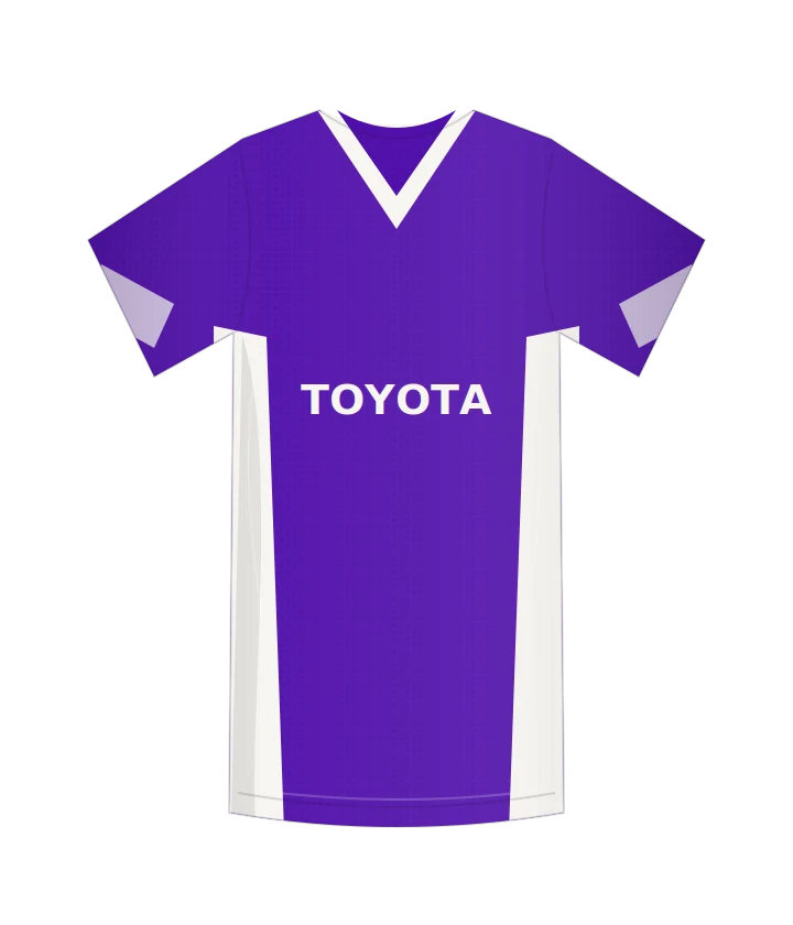 Fiorentina 2005/06 · Domowa