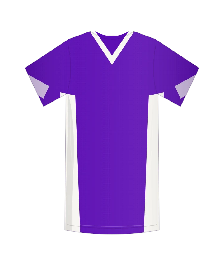 Fiorentina 2010/11 · Domowa — autorska rekonstrukcja