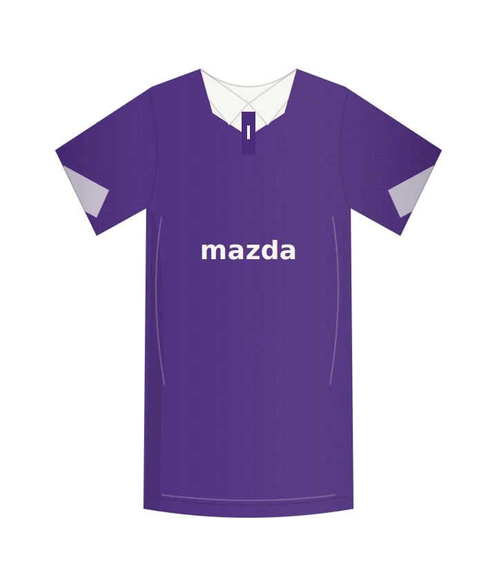 Fiorentina 2012/13 · Domowa — autorska rekonstrukcja